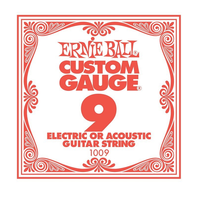 Ernie Ball P01009