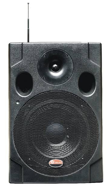 Акустическая система SHOW WDA282DR-VXM298TS
