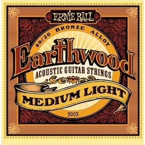 Ernie Ball P02003