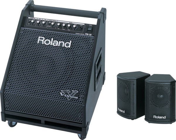 ROLAND PM30