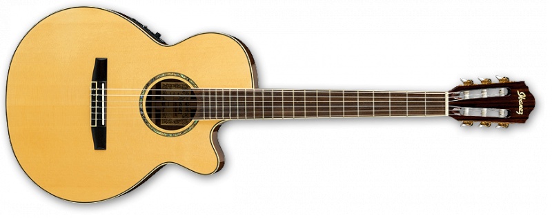 Электроакустическая гитара IBANEZ AEG10NE NT