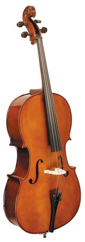 Виолончель STENTOR 1102/C STUDENT I CELLO OUTFIT 3/4