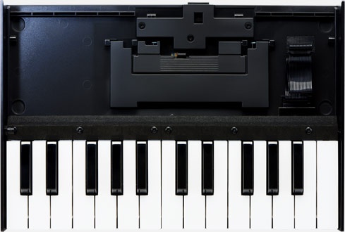 Клавиатура Roland K-25m