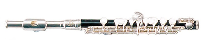 Флейта Maxtone TPC60S