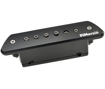 DP234