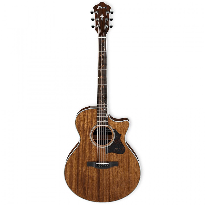 Электроакустическая гитара Ibanez AE245 NT