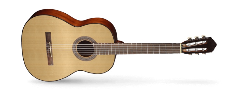 Классическая гитара AC100 SG