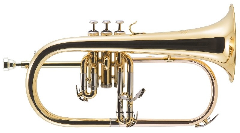 Флюгельгорн J.MICHAEL FG-500 Flugerhorn