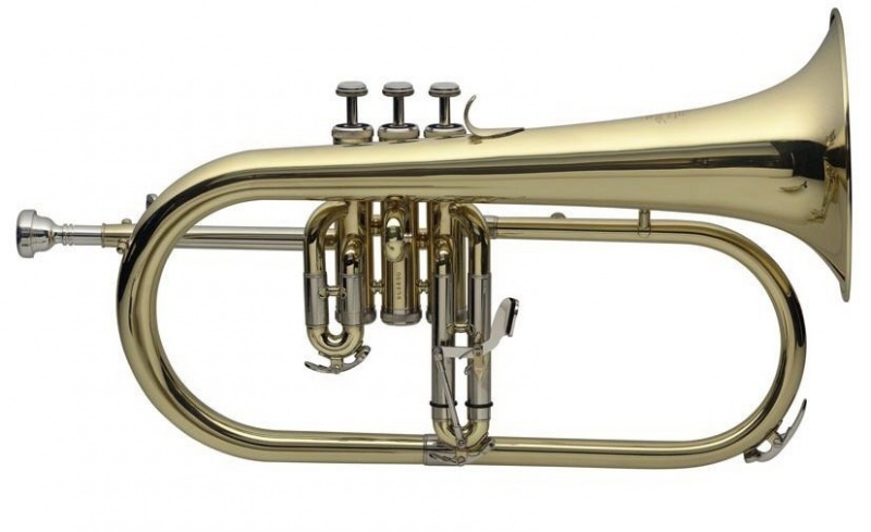 Флюгельгорн STAGG 77-B