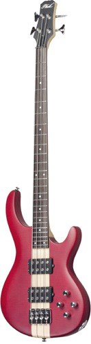 Бас-гитара PHIL PRO PBM49T