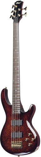 Бас-гитара PHIL PRO PBM56E