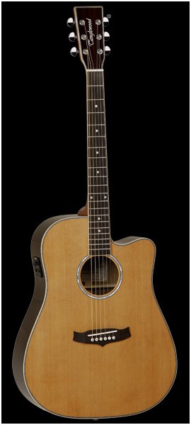 Электроакустическая гитара Вестерн гитара TANGLEWOOD TW28 CSR CE