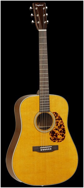 Акустическая гитара Вестерн гитара TANGLEWOOD TW40 D AN