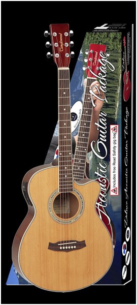 Электроакустическая гитара TANGLEWOOD DBT SF CE NG