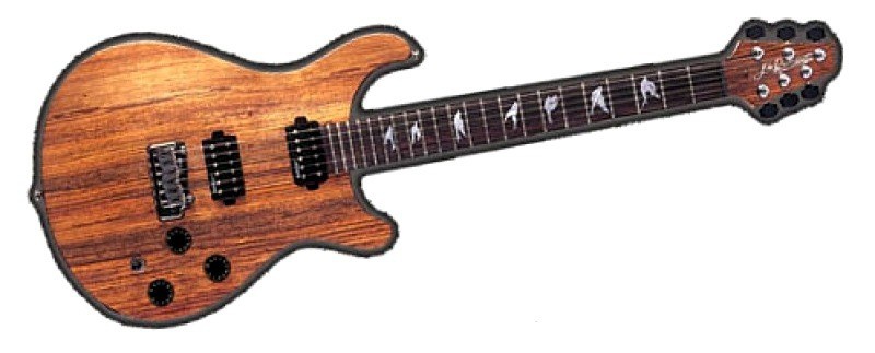Електрогітара J & D BROTHERS JDDUKE20