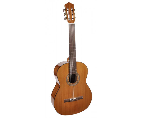 Классическая гитара Класична гітара Salvador Cortez CC-22