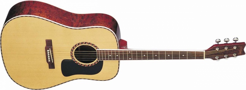 Акустическая гитара Washburn D13S