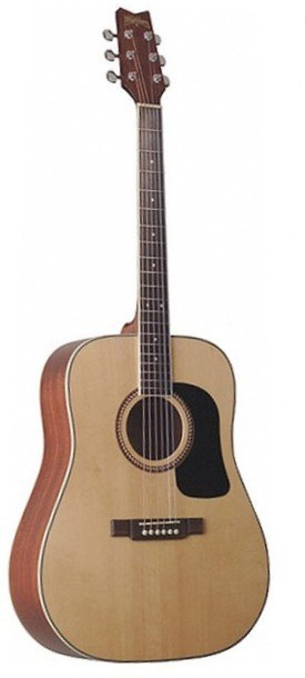 Акустическая гитара Washburn D10SZ