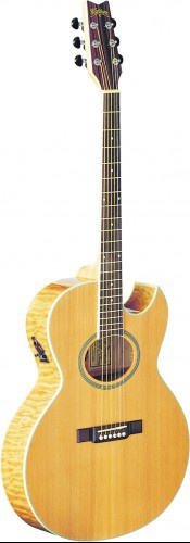 Электроакустическая гитара Washburn EA20SDL